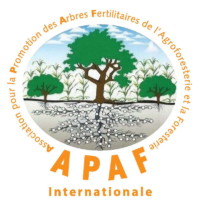 APAF APAF