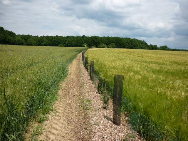 P1010912