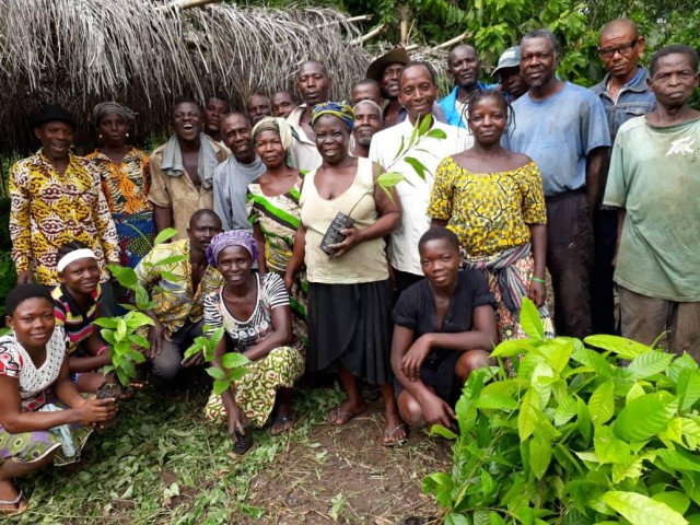 Tove Banu - Beneficiary nurserymen and farmers © APAF Togo